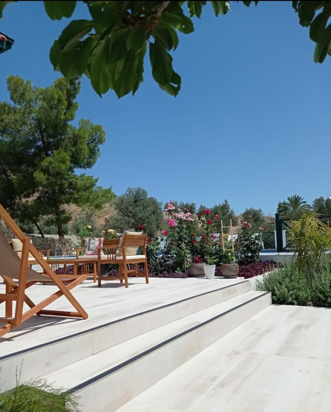 Dervise Mehmet Guest House Lefka  Εξωτερικό φωτογραφία